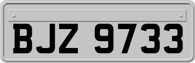 BJZ9733