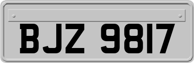 BJZ9817