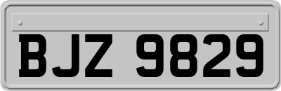 BJZ9829
