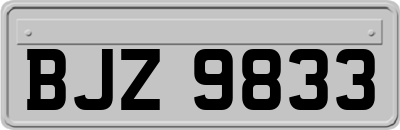 BJZ9833