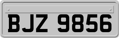 BJZ9856