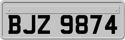 BJZ9874