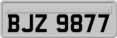 BJZ9877