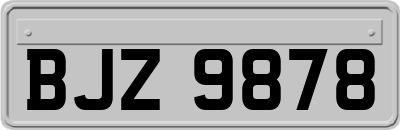 BJZ9878