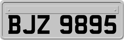 BJZ9895