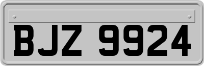 BJZ9924