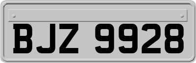 BJZ9928