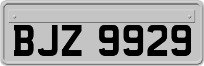 BJZ9929