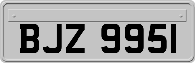 BJZ9951