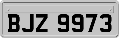 BJZ9973