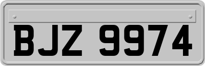 BJZ9974