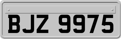 BJZ9975