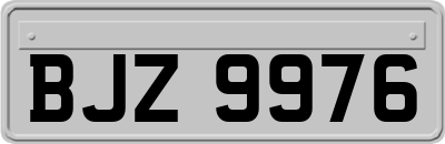 BJZ9976