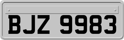 BJZ9983