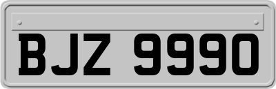 BJZ9990
