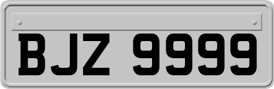 BJZ9999