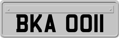 BKA0011