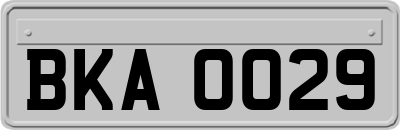 BKA0029