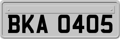 BKA0405