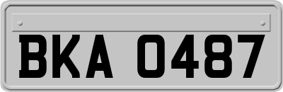 BKA0487