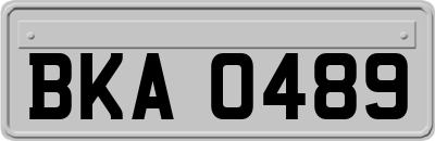 BKA0489