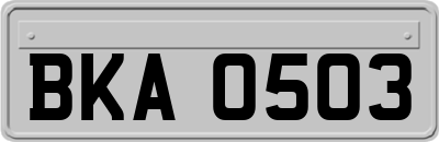 BKA0503