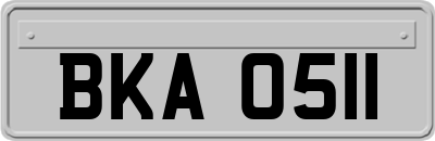 BKA0511