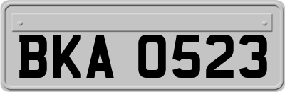 BKA0523