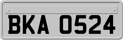 BKA0524