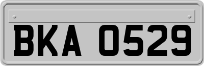 BKA0529
