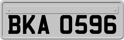 BKA0596