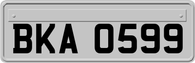 BKA0599