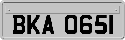 BKA0651