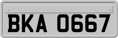 BKA0667