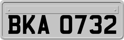 BKA0732