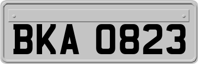BKA0823