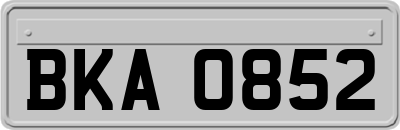 BKA0852