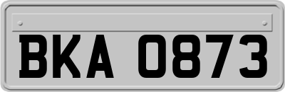BKA0873