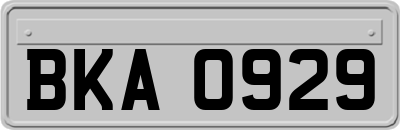 BKA0929