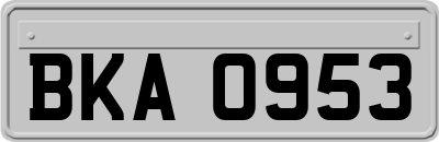 BKA0953
