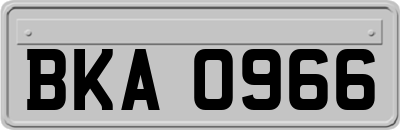 BKA0966