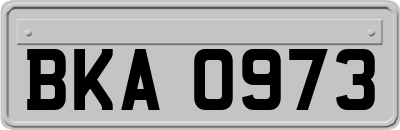 BKA0973