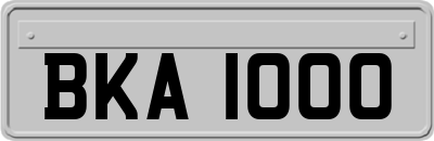 BKA1000