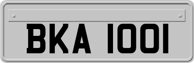 BKA1001