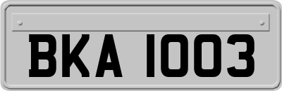 BKA1003