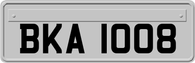 BKA1008