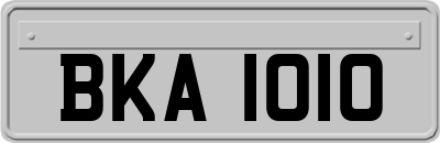 BKA1010