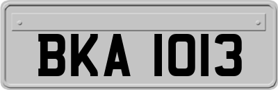 BKA1013