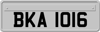 BKA1016