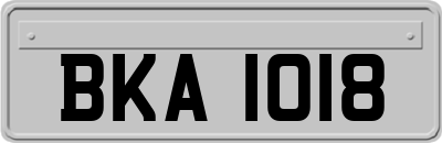 BKA1018